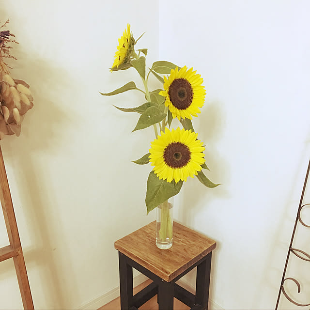 haru._.hanaさんの実例写真