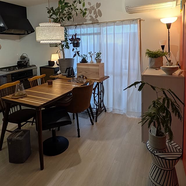 部屋全体/間接照明のインテリア実例 - 2025-05-09 15:11:01