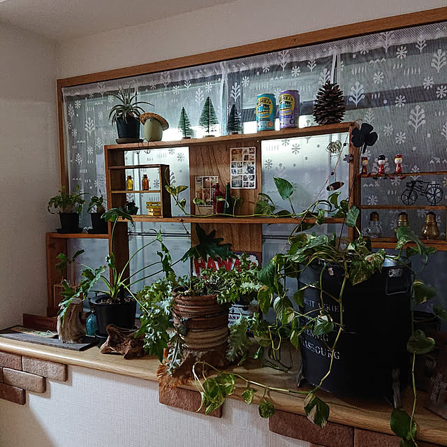nanaさんの実例写真