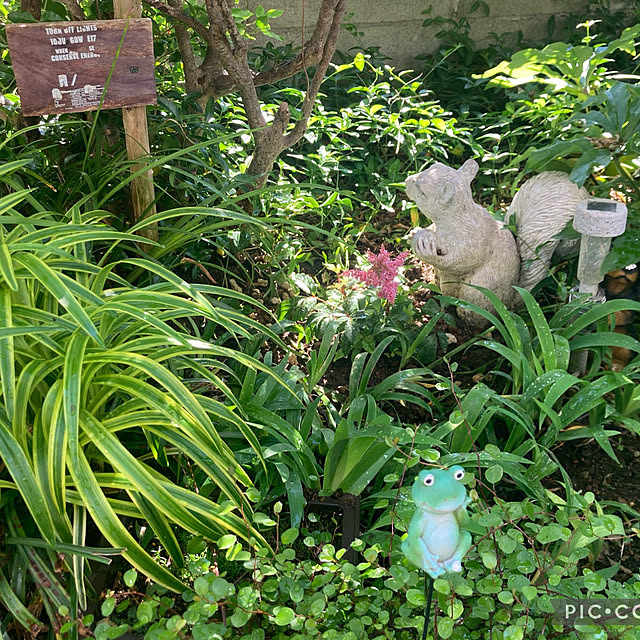 CoCo0617さんの部屋