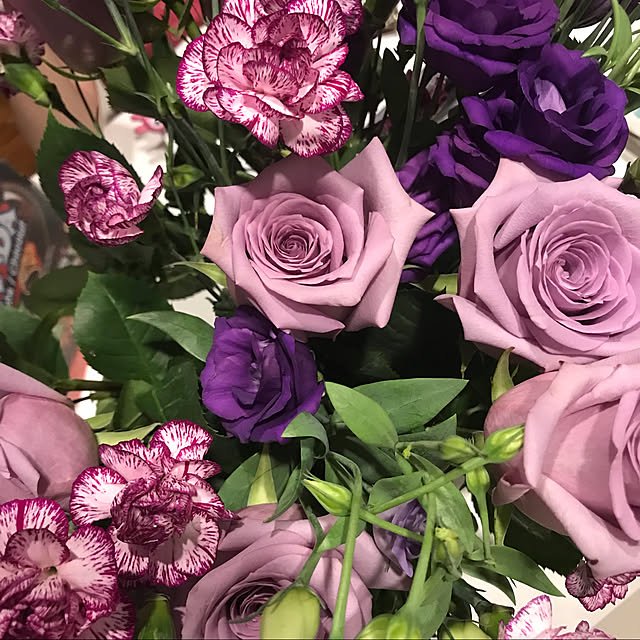 Mikiさんの実例写真