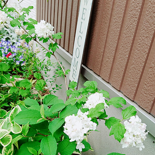 K-mamaさんの実例写真