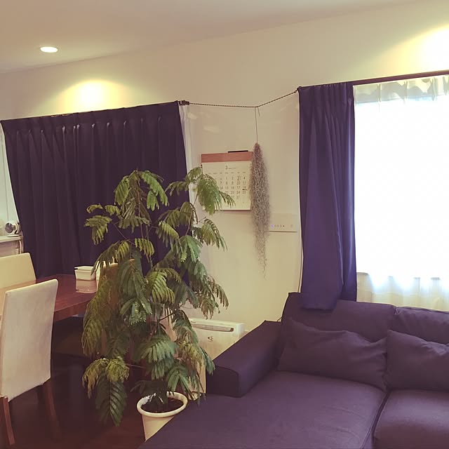 kurashi.naturalさんの実例写真