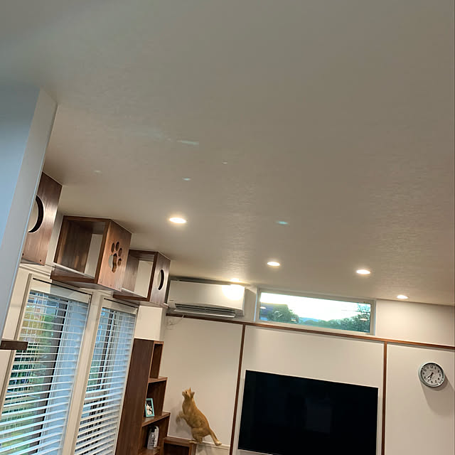 mikeume7さんの部屋