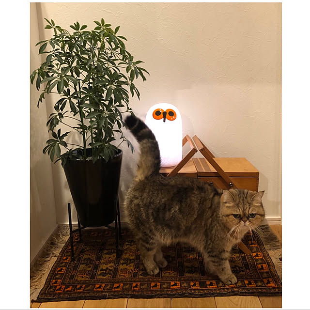 ponkunさんの実例写真