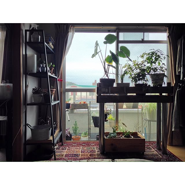 hittonさんの実例写真