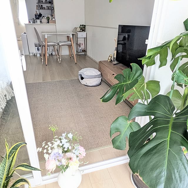 kumiさんの実例写真