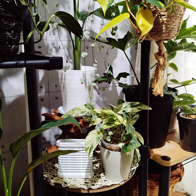 runaさんの実例写真