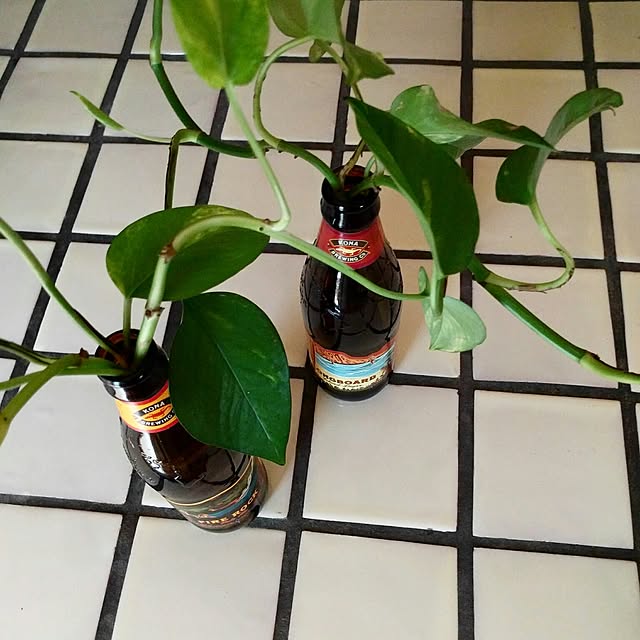 kanadeさんの実例写真