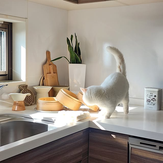 tomatoさんの部屋