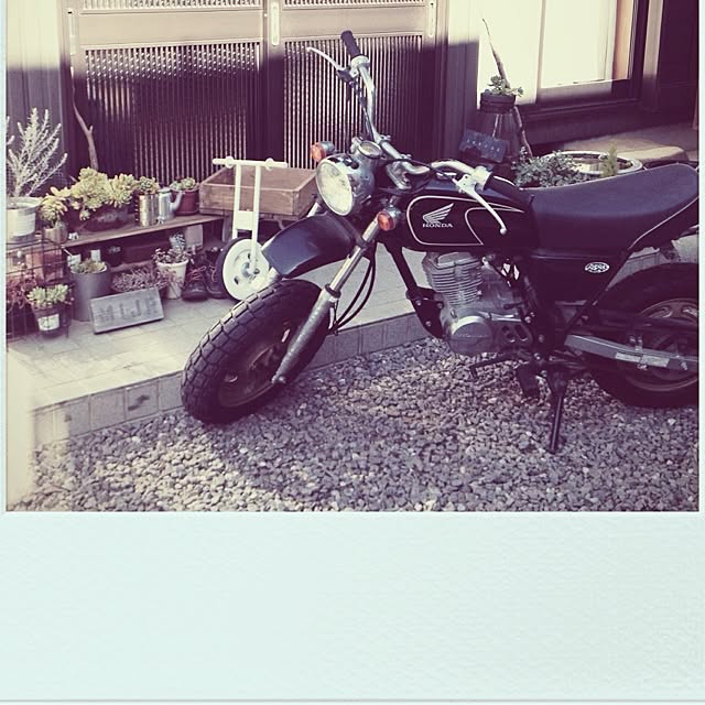 botanさんの実例写真