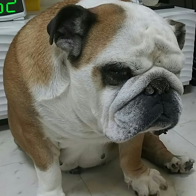 AandPさんの実例写真