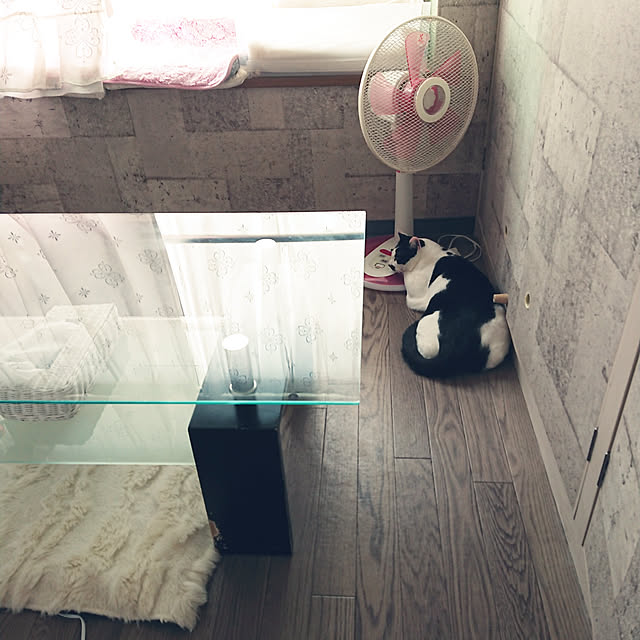 asuminさんの実例写真