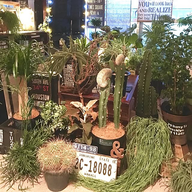 Shujiさんの実例写真