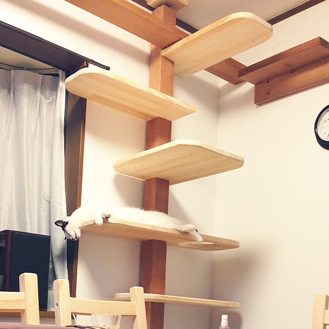 tottyさんの実例写真