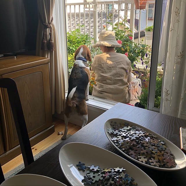 okonさんの実例写真