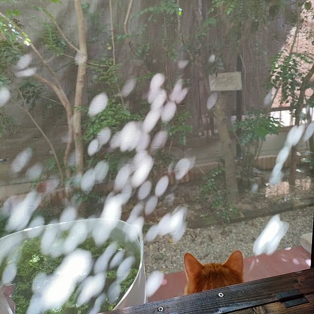 mori_6_12さんの実例写真