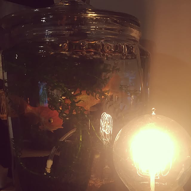 timaさんの実例写真