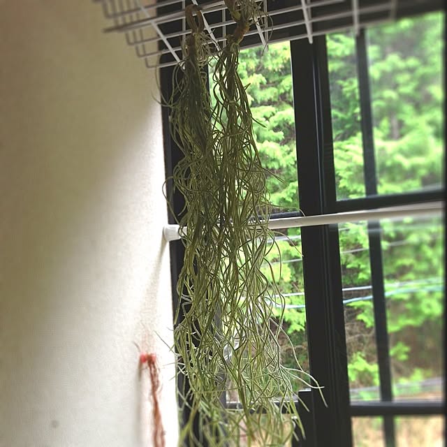 L.さんの実例写真
