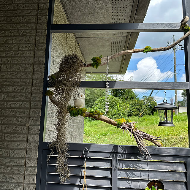 hachikinさんの部屋