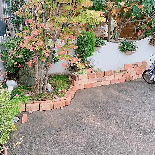 charryさんの実例写真