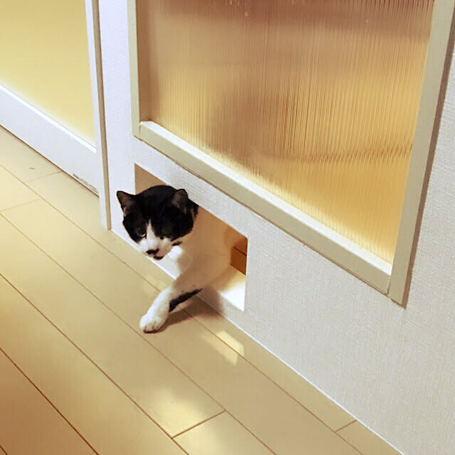 Rさんの実例写真