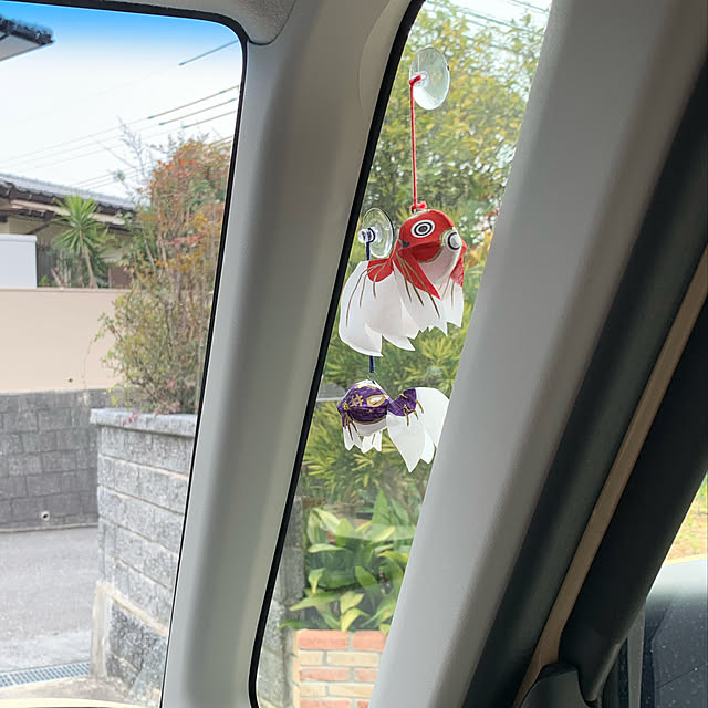Shinamonさんの実例写真