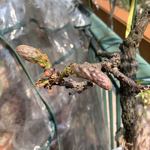 Aqettyさんの部屋