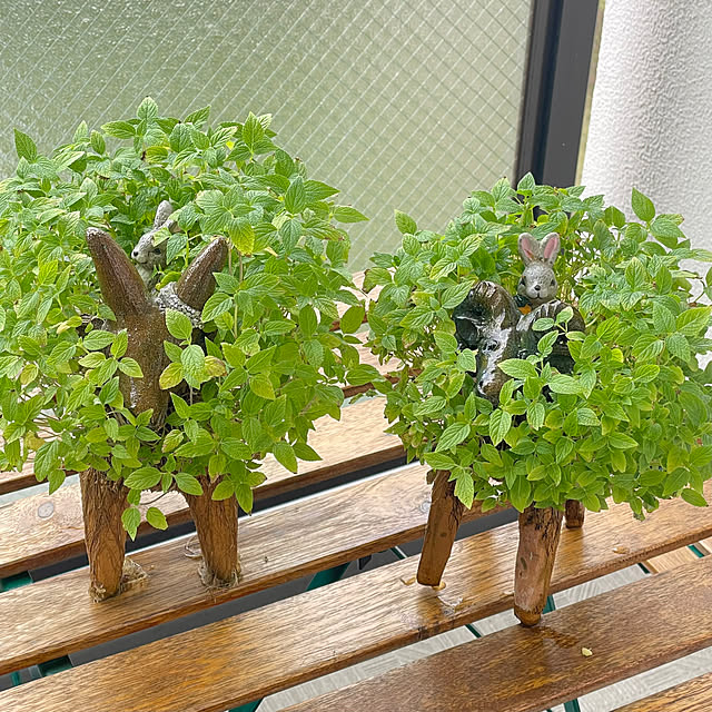 aureaさんの部屋