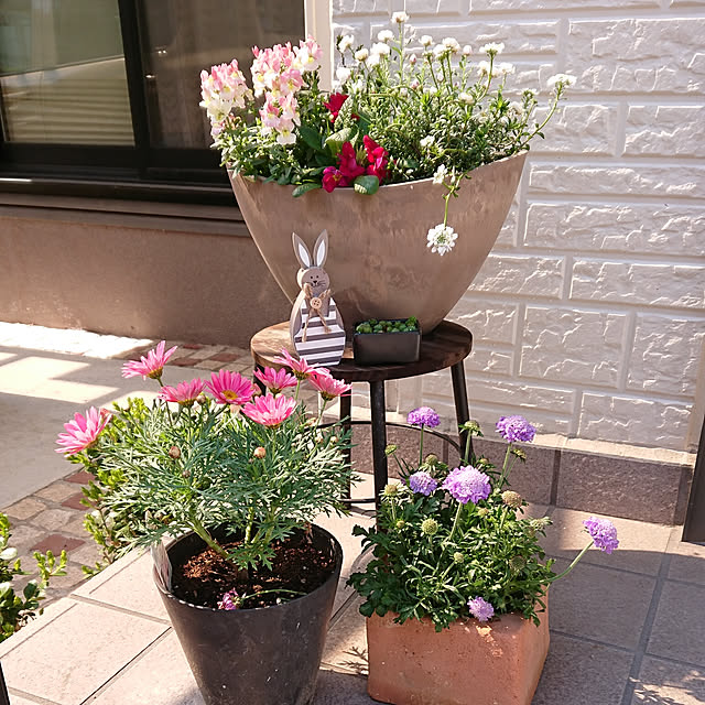 tamaさんの実例写真