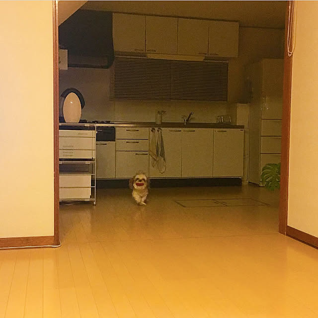 my_homeさんの実例写真