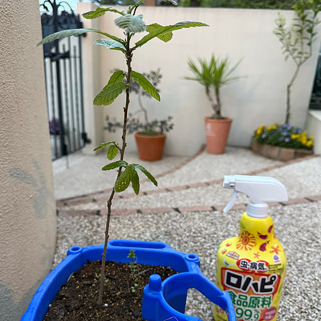 ma...さんの実例写真