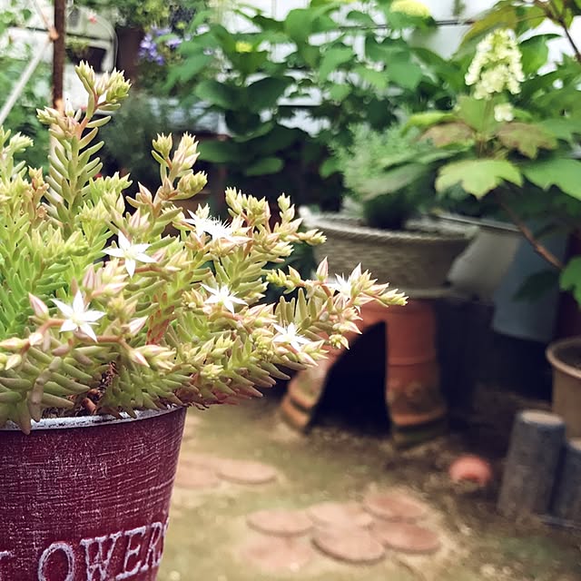 kokko3さんの実例写真