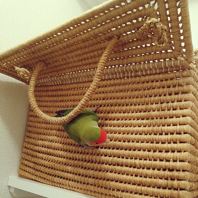 toratanさんの実例写真