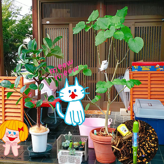 cherrycherryさんの実例写真