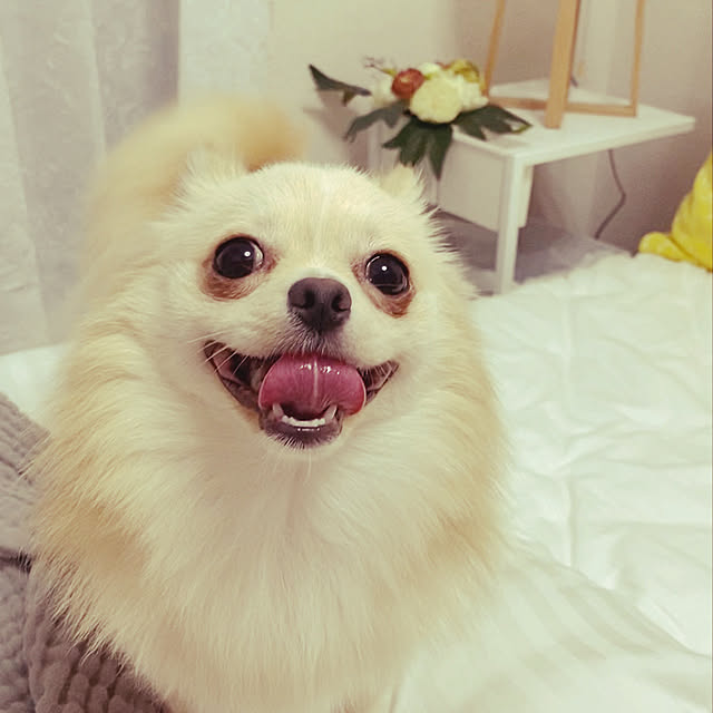 Chieさんの実例写真