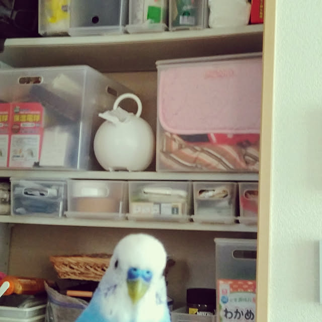 toratanさんの実例写真