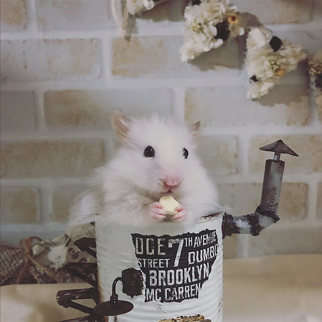 emiさんの実例写真