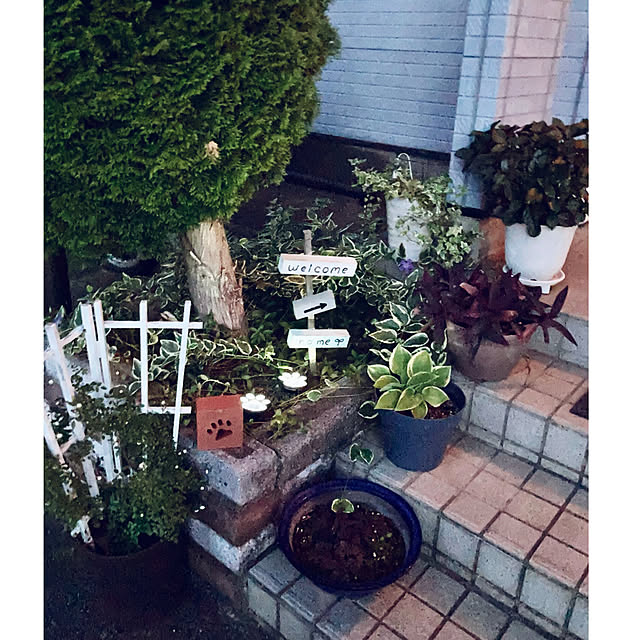 CoCo0617さんの実例写真