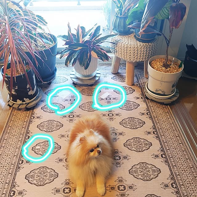 maikeru.3384さんの実例写真
