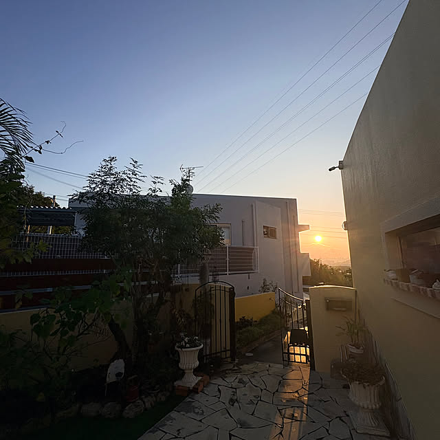 bu-bu-chanさんの部屋