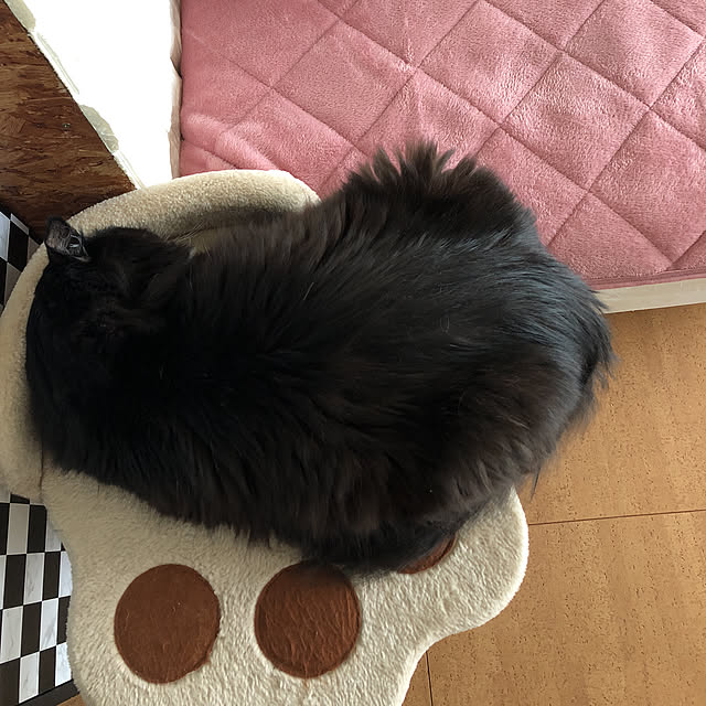 kanaさんの実例写真