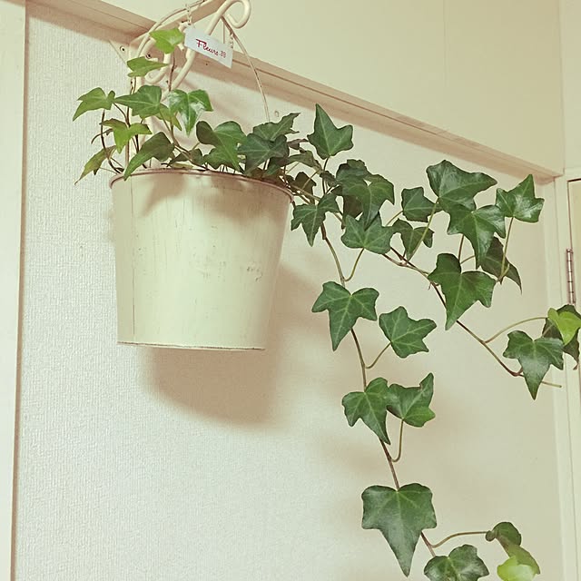 ku-さんの実例写真