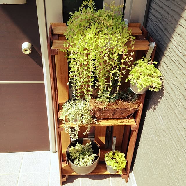 hikariさんの実例写真