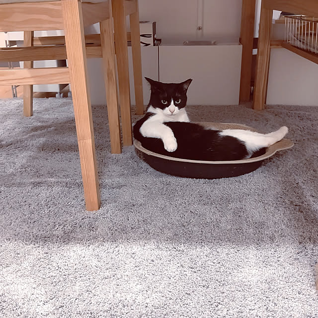 hihaさんの実例写真