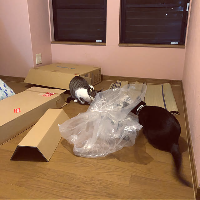 jijiさんの実例写真