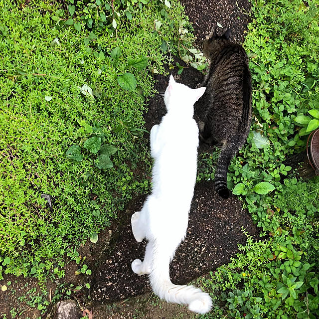 weさんの実例写真