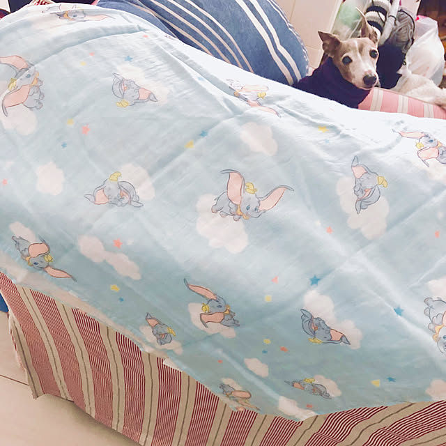 suzyさんの実例写真