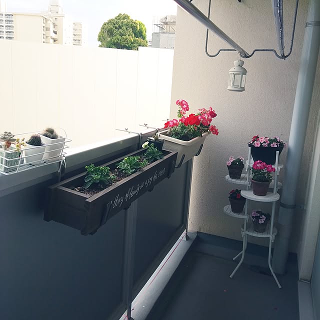 komomonさんの実例写真