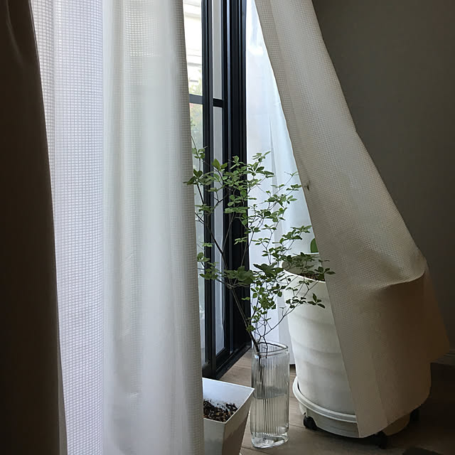onsさんの実例写真